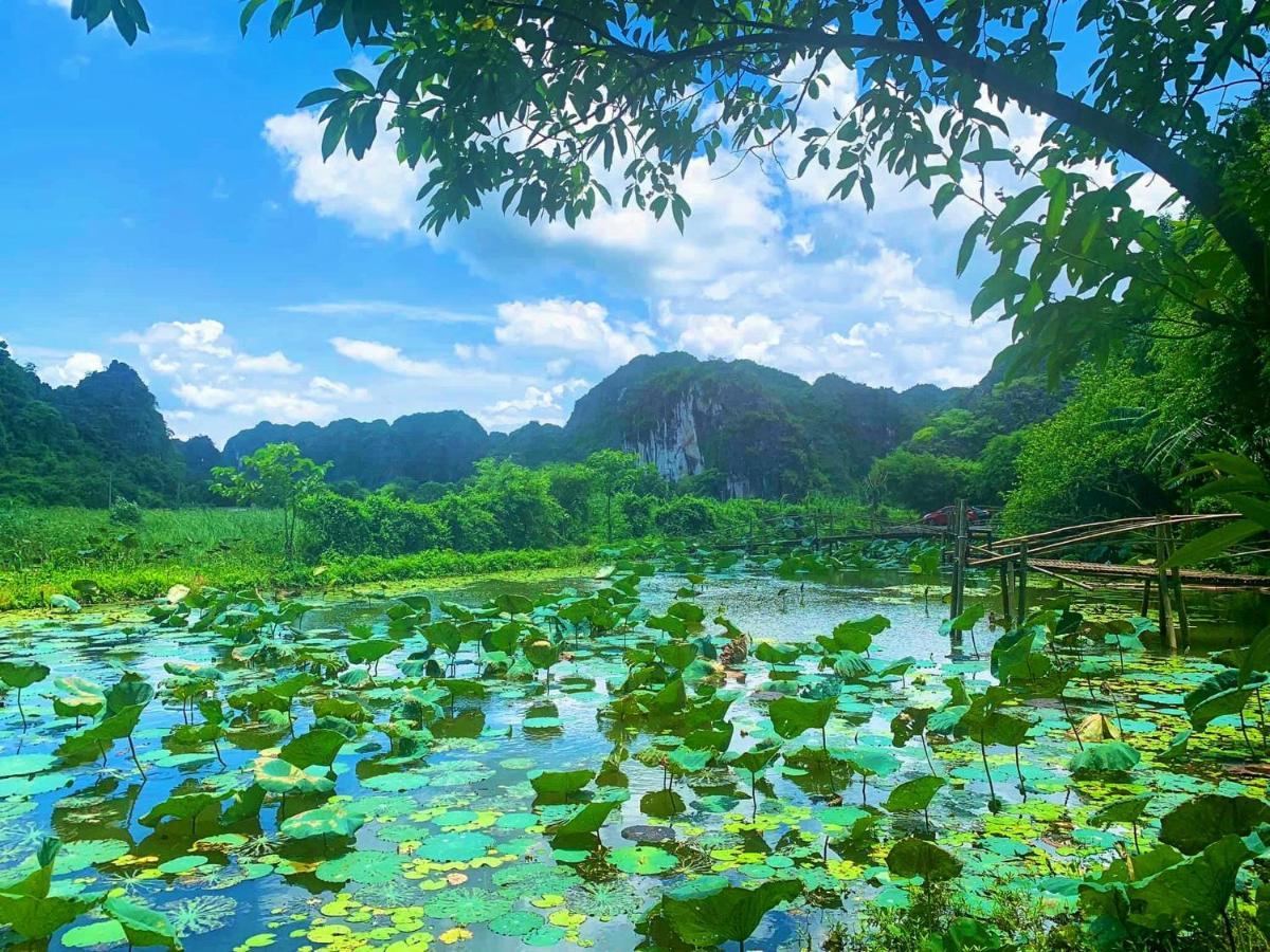 Tam Coc Nature Ninh Binh Buitenkant foto